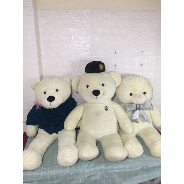 Gấu teddy size đại 1m-1m15
