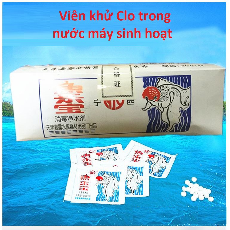 Viên khử clo nước máy chống sốc cá