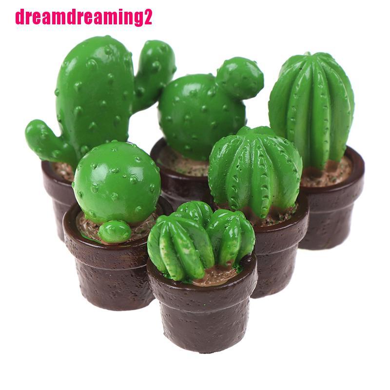 Bộ 5 Cây Xương Rồng Mini Bằng Nhựa Dùng Trang Trí