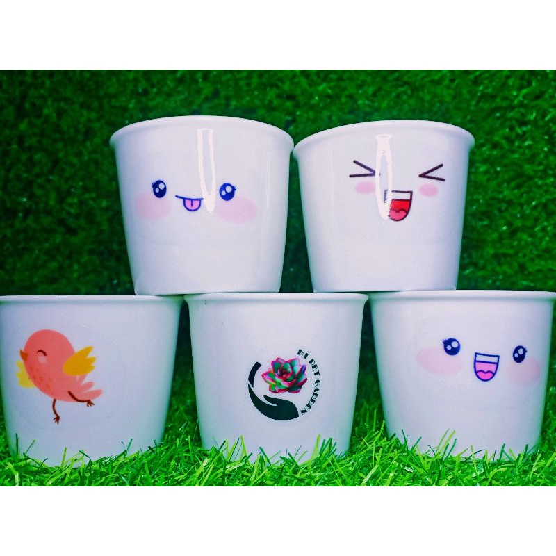 Chậu sứ trắng Decal