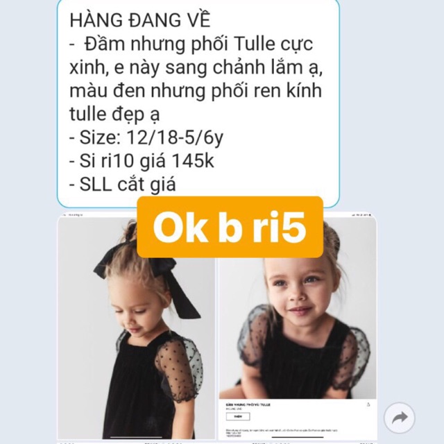 Đầm đen phối