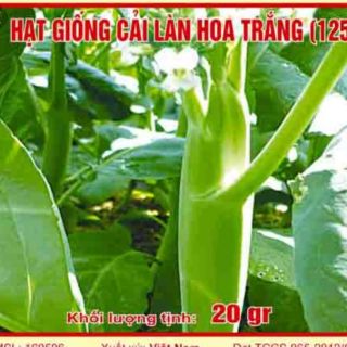 300 Hạt giống cải rổ (cải làn) - HÀNG CÔNG TY