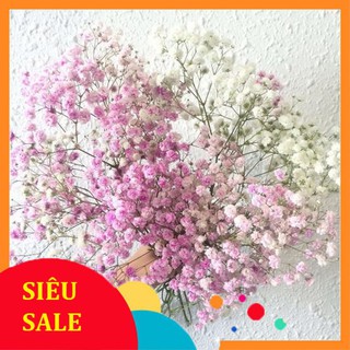 100 Hạt giống Baby mix (tặng gói Kích nẩy mầm và Hướng dẫn)