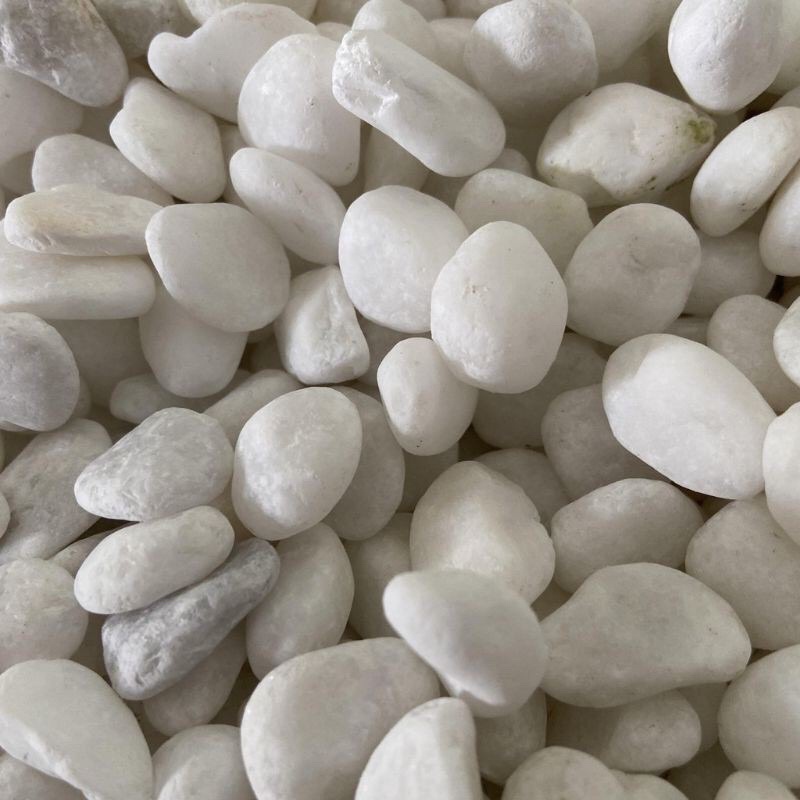 Sỏi trắng trang trí bể cá, tiểu cảnh, chậu cây