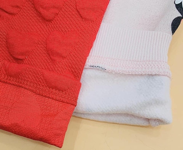 Bộ nỉ mickey hàng xịn