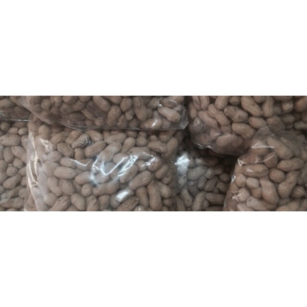 [FREESHIP 99K TOÀN QUỐC] A_Đậu phộng sấy nguyên vỏ (0,5kg) vttsp mới12