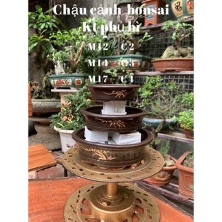 3 Chậu tròn trồng thạch xương bồ trồng cây bonsai mini/chậu trồng cây bonsai/chậu trồng cây cảnh /chậu trồng cây kiểng