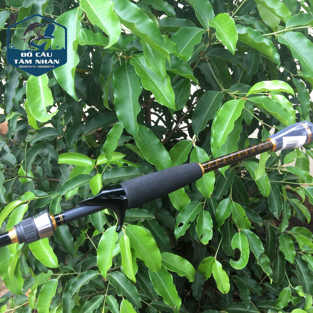 Cần lure Daiwa Aird X - máy ngang và máy đứng - có quà tặng