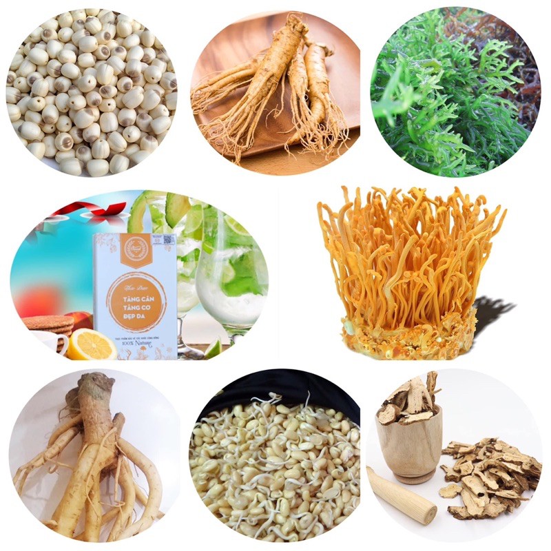 Tăng cân Vincent 🍓FREESHIP🍓 thảo dược tăng cân liệu trình 30 ngày sản phẩm chính hãng | BigBuy360 - bigbuy360.vn