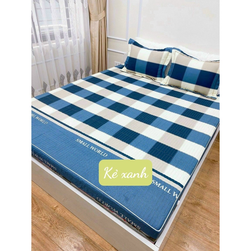 Bộ 3 món ga trơn cotton Hàn Quốc, kích thước 1m2/1m6/1m8/2m2 - Lá Ngọc