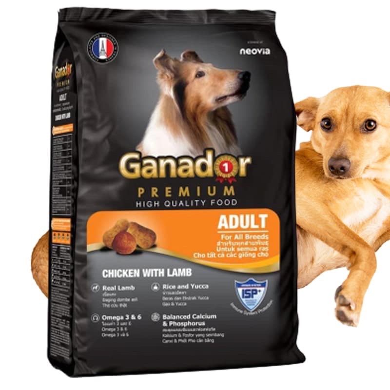 Bao 20kg Ganador Adult dog - Thức ăn hạt cho chó trưởng thành ăn