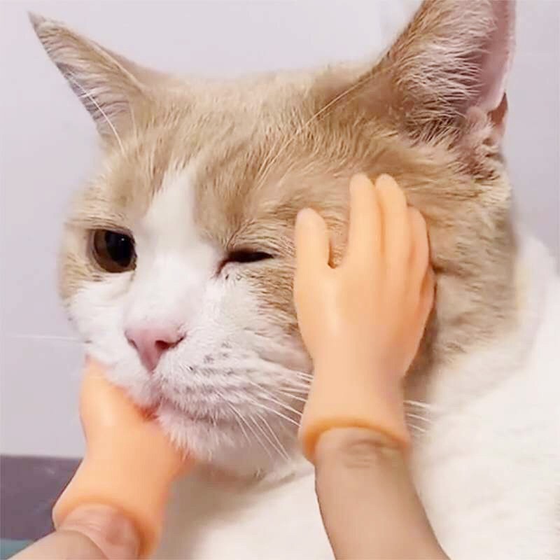 Con Rối Ngón Tay Hình Mèo Vui Nhộn