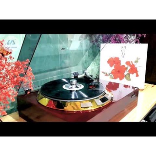 Đĩa Than " Lối Cũ Ta Về ", Linh Anh Audio