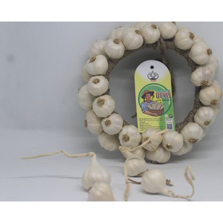 Vòng Tỏi Lý Sơn Phong Thủy OLVIS từ tỏi Lý Sơn chính gốc.