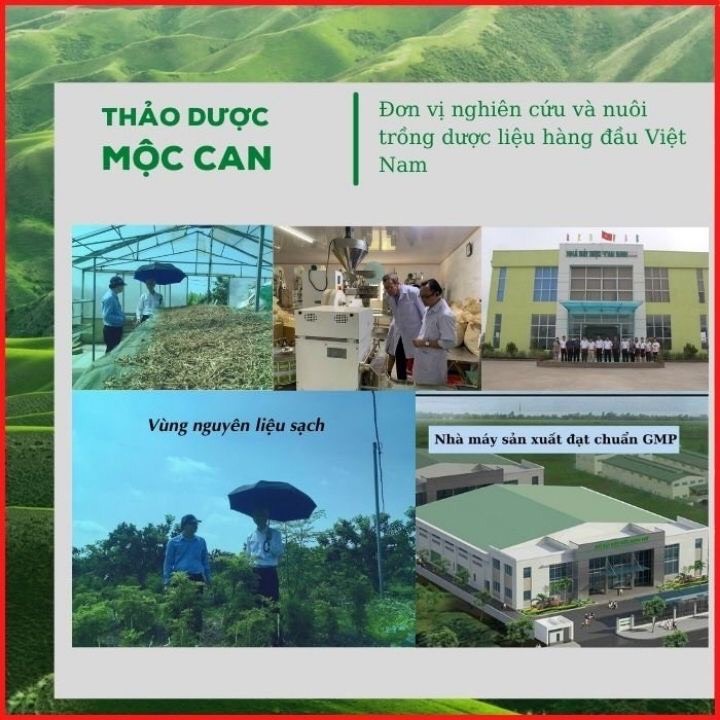 Nước Súc Miệng Cai Thuốc Lá Mộc Can, Giúp Bỏ Thuốc Lá, Cai Thuốc Lào Trong Vòng 1 Tuần ( ảnh và video thật )