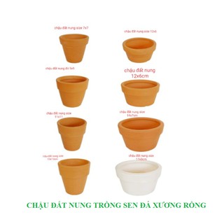 CHẬU ĐẤT NUNG TRỒNG SEN ĐÁ LY G NHIỀU SIZE - chậu trồng tiểu cảnh sen đá, xương rồng, cây phong thuỷ văn phòng đẹp