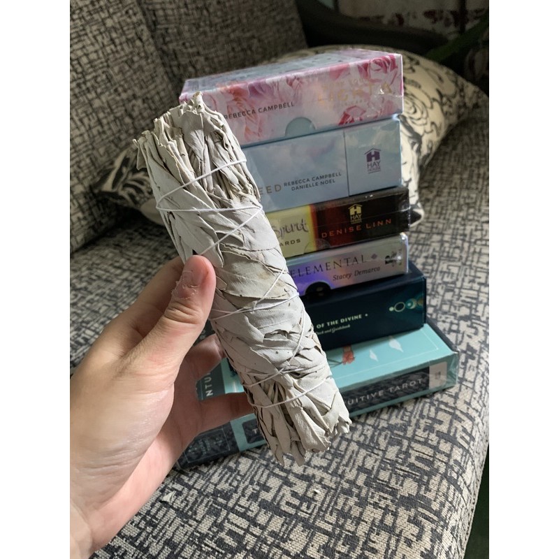 Xô thơm trắng - California White Sage - Dùng thanh tẩy