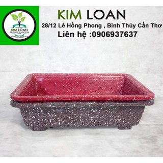Combo 2 chậu nhựa bonsai chữ nhật vân đá 30x20x8cm