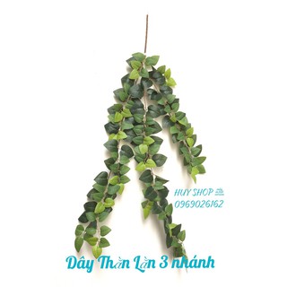 DÂY LÁ NHÂN TẠO - DÂY THẰN LẰN 3 NHÁNH