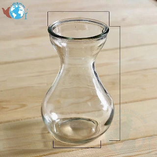 Combo 2 bình bông lọ hoa thủy tinh miệng loe - bình bông Tiên Ông - 2 bình thủy tinh trồng thủy canh, cắm hoa