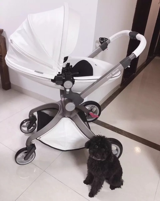 Xe đẩy cao cấp cho bé Hot Mom . Xe đẩy Hotmom