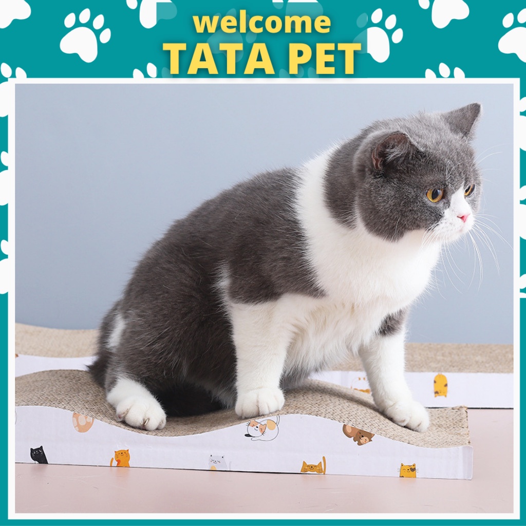Bàn cào móng cao cấp dành cho mèo, THẢM CÀO MÓNG (CM19.5) TATA PET