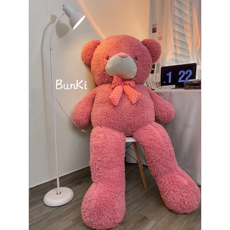 Gấu Bông Teddy First Love Hồng 1m7 khổ vải cao 1m6 cao cấp BUNKI