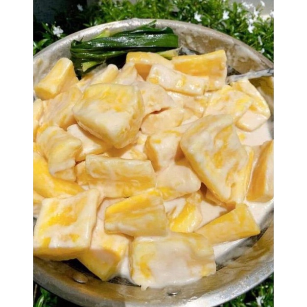 Củ khoai mì dẻo  mới nhổ vàng nhạt