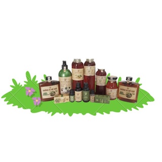 Dầu Gội Thảo Mộc THIÊN TRI 500ml