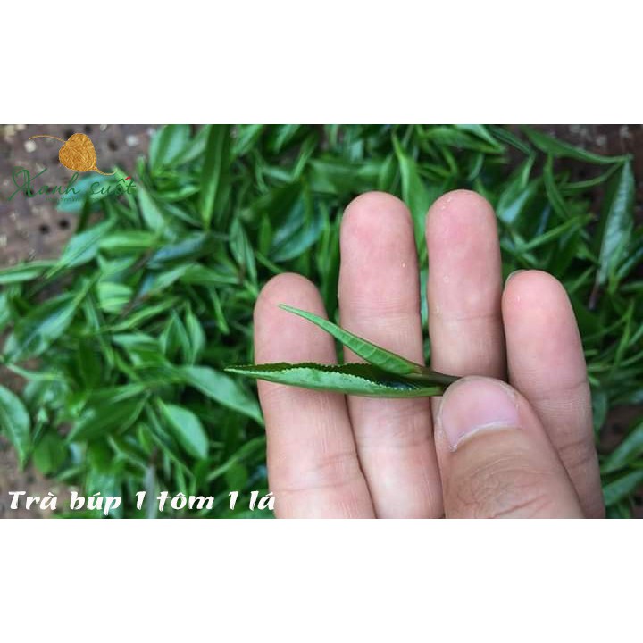 [Trà Mộc Thanh]Hồng Trà Cao Khản 100g - Cao Khan Black Tea