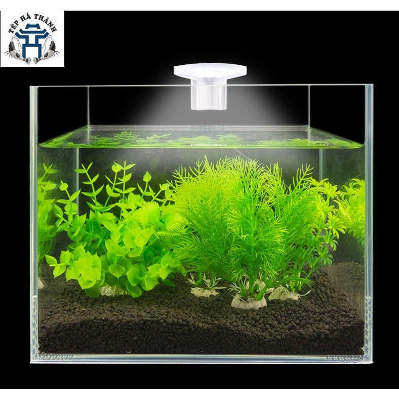 Đèn Led Kẹp M3 Cho Bể Cá Cảnh Mini, Bể Tròn, Bể Thủy Sinh