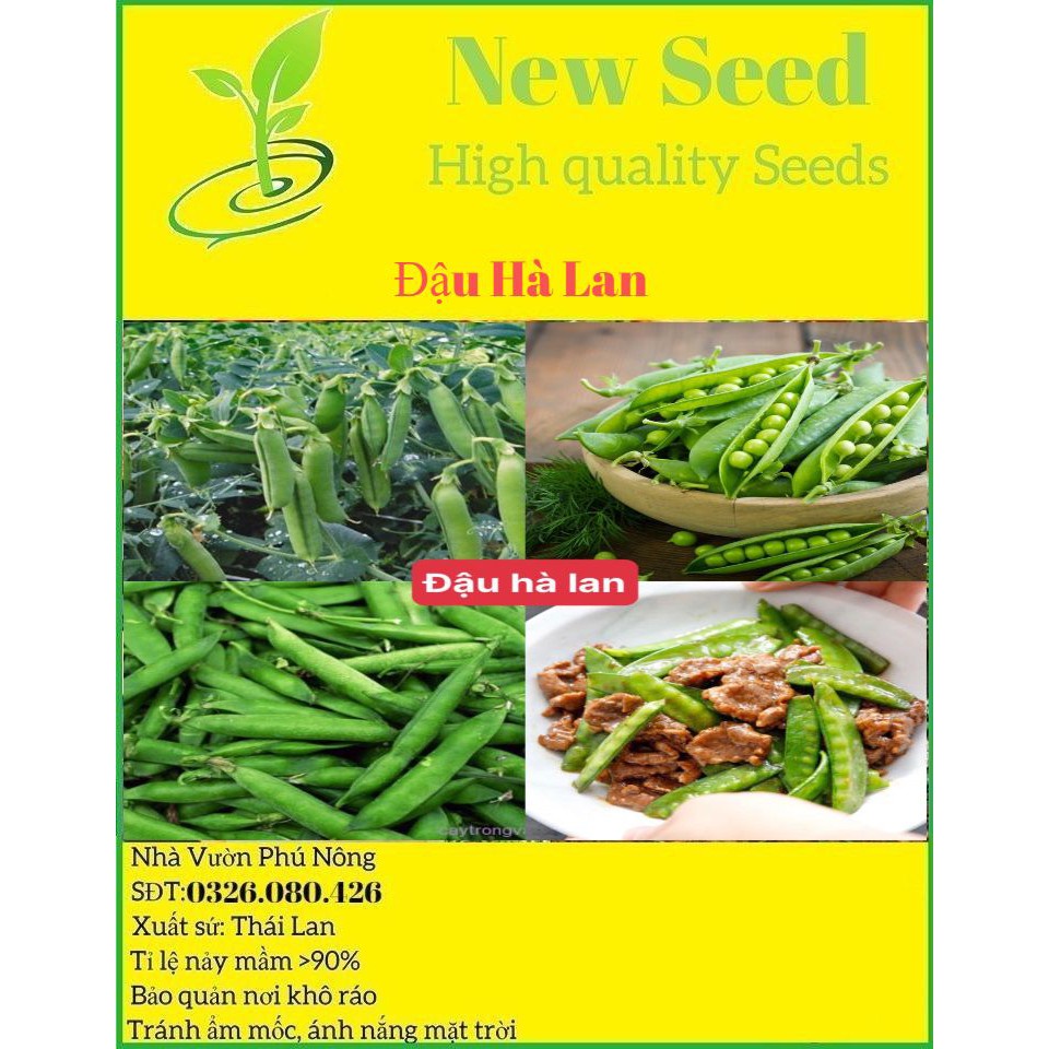 Hạt Giống Đậu Hà Lan F1 loại dễ trồng năng suất cao chống sâu bệnh [gói 200gram ,500gram,1kg]