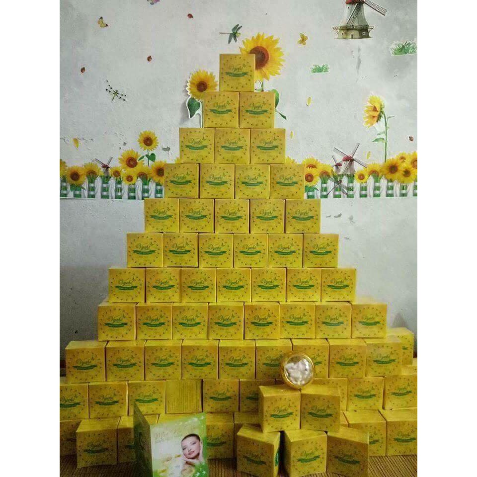 MẶT NẠ YẾN VYCHI