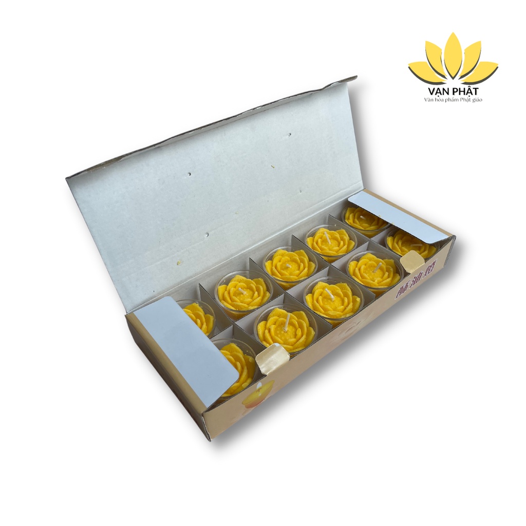 Nến Tealight hoa sen 10 giờ