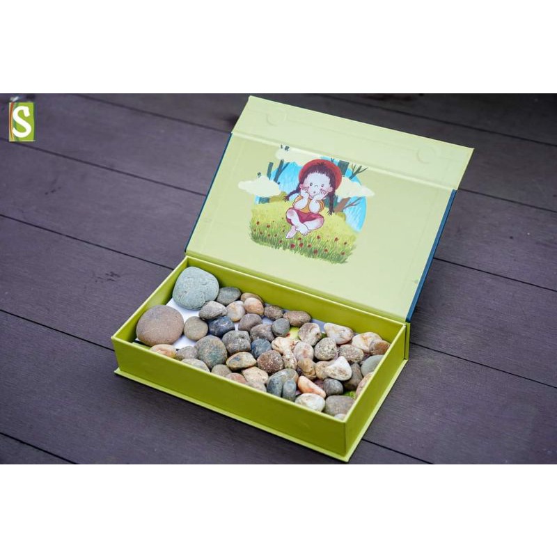 Hộp Ô Ăn Quan HTX Sinh Dược