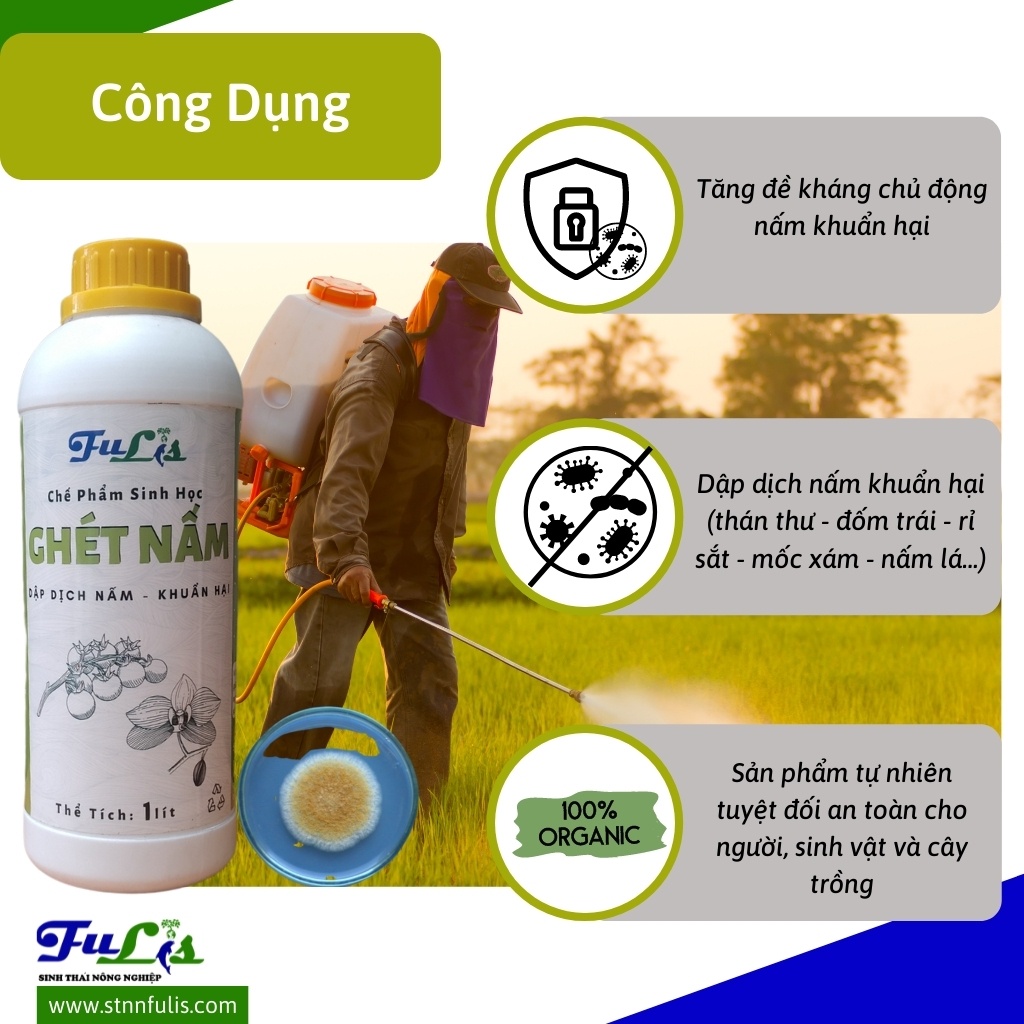 Chế Phẩm Sinh Học Phòng Trị Nấm Khuẩn Hại GHÉT NẤM Cho Hoa Lan, Hồng, Cây Ăn Quả, Rau Màu Chính Hãng Giá Rẻ - stnnfulis