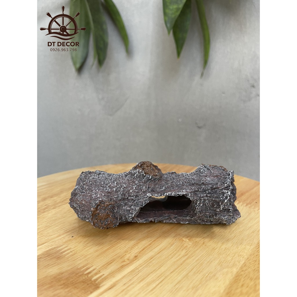 Khúc cây rỗng cho tép