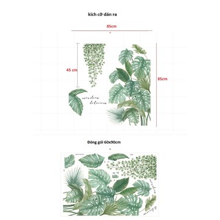 decal dán tường tán lá nhiệt đới