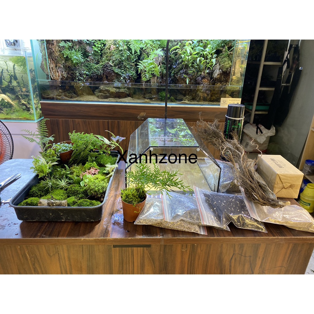 Lót nền terrarium, đất kết dính, tạo bố cục nền terrarium,bán cạn, 22 loại, đất đắp tường rêu terrarium, bán cạn