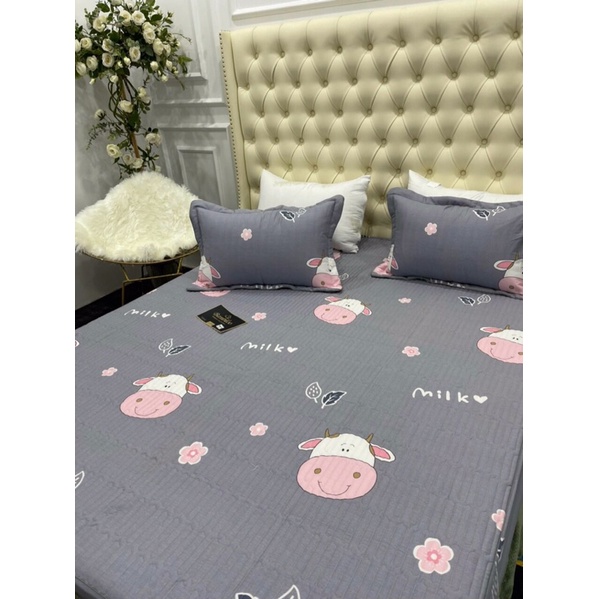 Bộ ga gối trần bông BAMBILOO cotton nhật