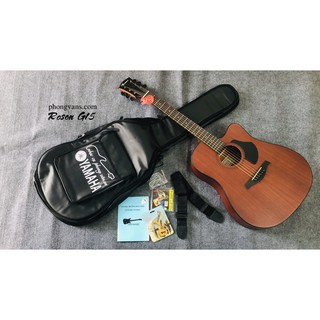 Guitar Rosen G15 chính hãng tặng kèm phụ kiện