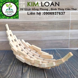 Chậu lan gỗ lim hình thuyền 57x15x20cm