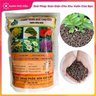 Phân Bón Hữu Cơ Trùn Quế Cao Cấp DG Viên Nén 1kg - Giàu Dinh Dưỡng, Kích Thích Tăng Trưởng,Phân Bón Cho Lan, Hoa Kiểng