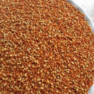 Phấn hoa cỏ kim ( 0.5 kg ) Phấn cỏ Sơn La