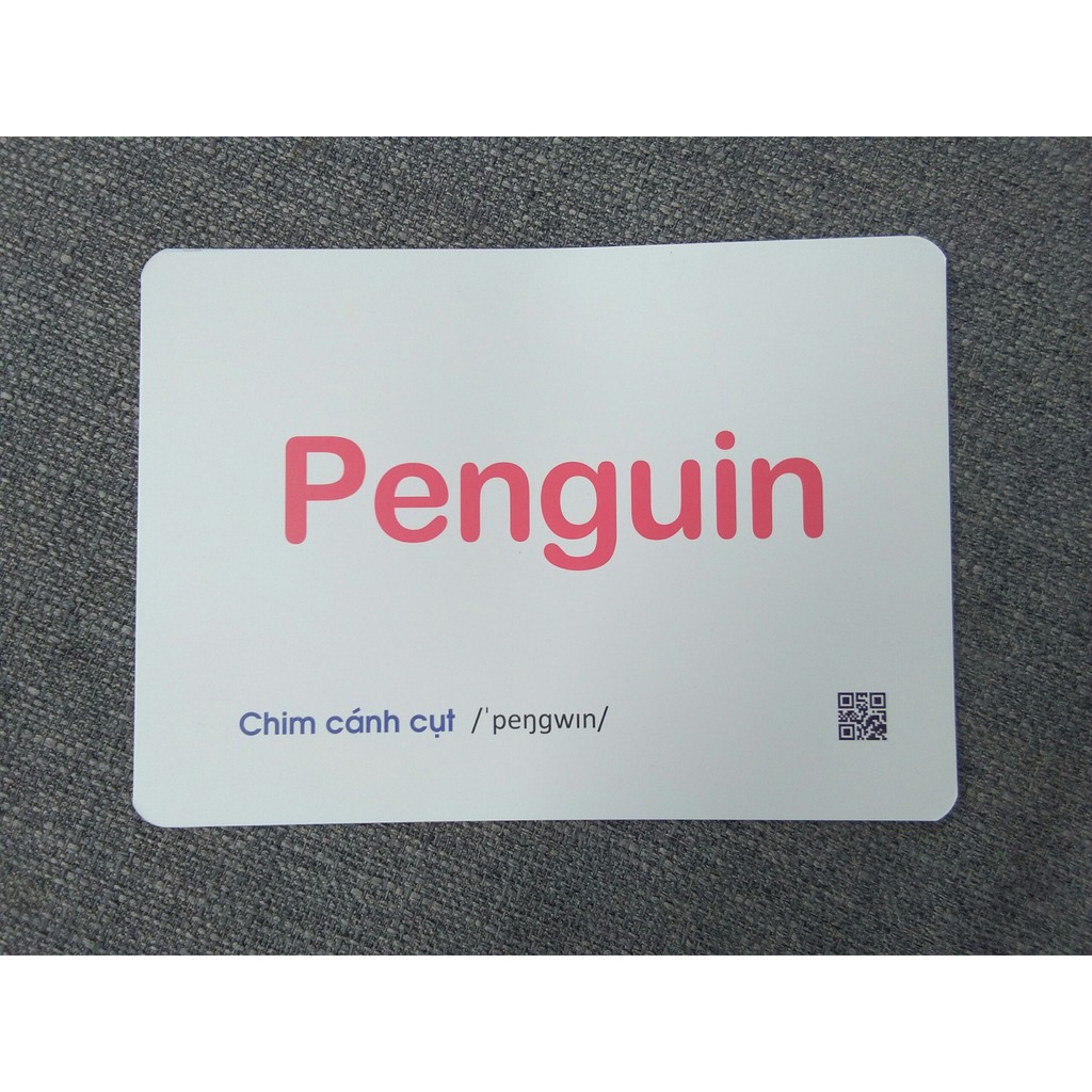 Flashcard Dạy Trẻ Theo Phương Pháp Glenn Doman - Các Loài Chim
