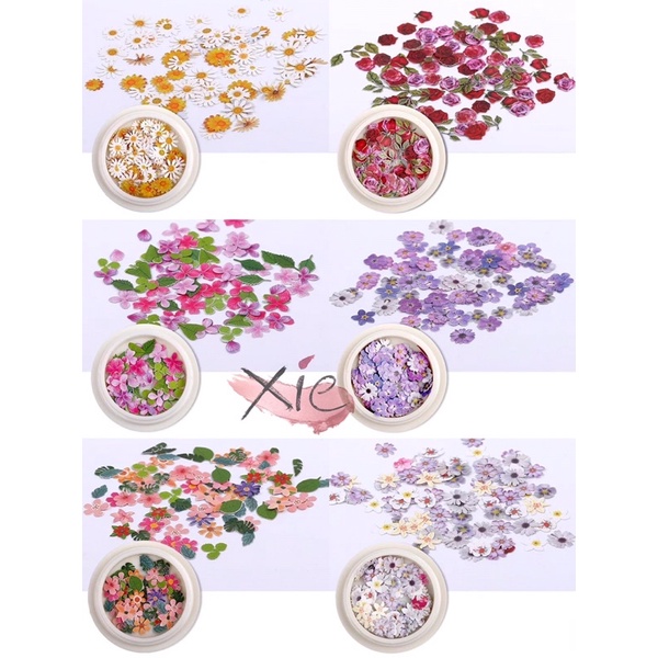 STICKER 3D DÁN MÓNG NỔI - XIE dụng cụ mi&amp;nail🥰