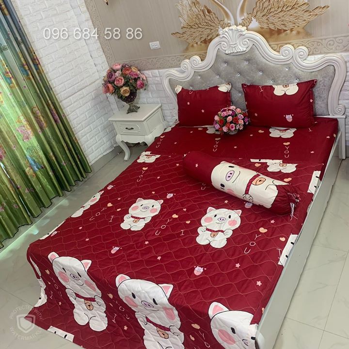 Sét drap thun chăn hè 5 món cao cấp