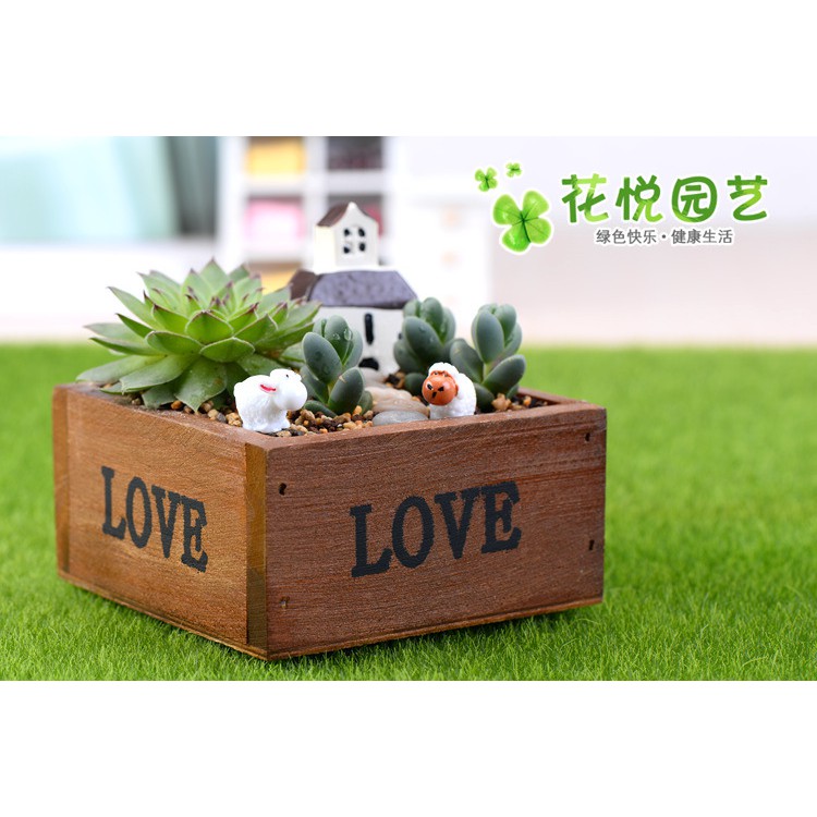 Chậu gỗ trồng cây 10x10x5cm/tiểu cảnh/terrarium