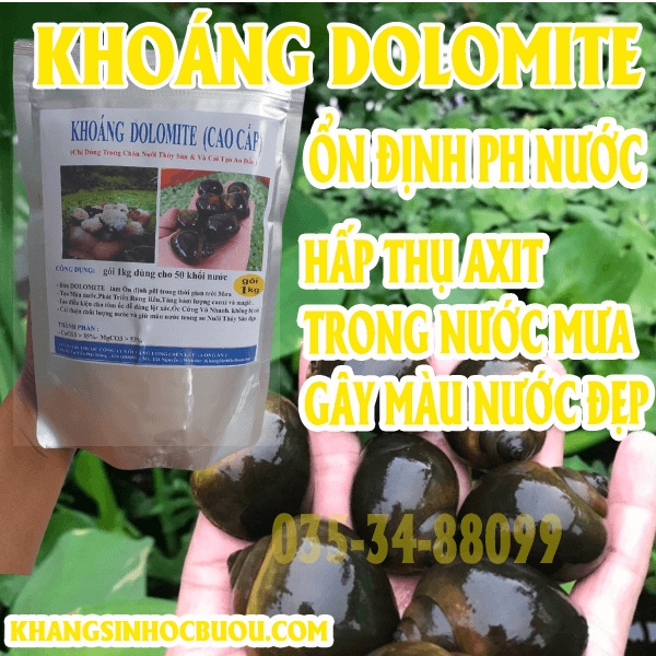 VÔI DOLOMITE CHO THỦY SẢN CHUYÊN CHO MÔI TRƯỜNG NUÔI ỐC CÁ LƯƠN ẾCH VÔI