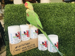 D’ Nutrical gói lẻ 20gr